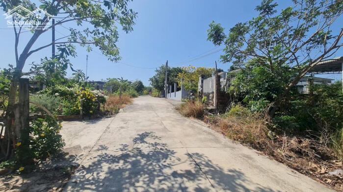 Hình ảnh bán đất 10x31 hẻm Thống Nhất, kp1, Tân An, LaGi, Bình Thuận. giá rẻ đường ô tô 2