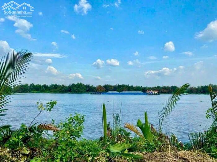 Hình ảnh Đất thổ cư 609m2 mt View sông Vàm Cỏ xã Tân Chánh thích hợp xây nhà vườn rẻ 700tr 0