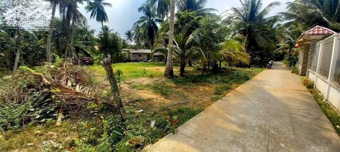 Hình ảnh Bán đất Nhị Bình - Cần Bán Gấp,5000 Ae Bán Giúp Lấy Hoa Hồng 2% Nha 7