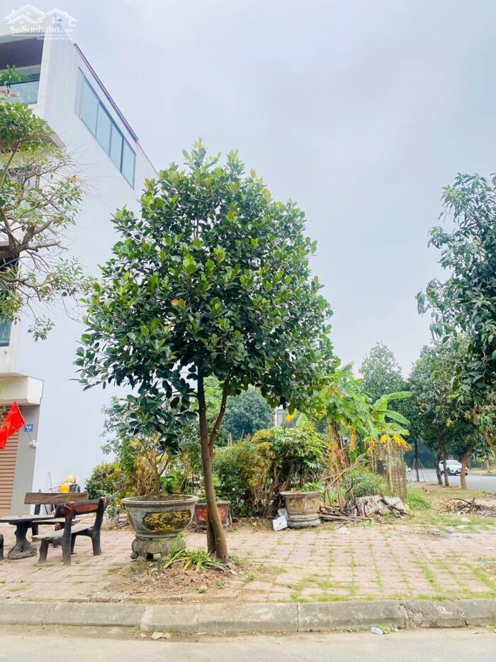 Hình ảnh BÁN ĐẤT LÔ GÓC KHU A NAM ĐẦM VẠC, VĨNH YÊN, VĨNH PHÚC 3