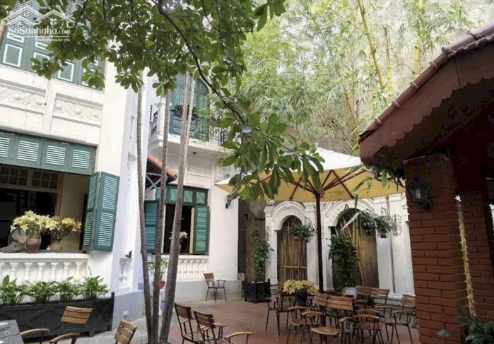 Hình ảnh Phố Tôn Đức Thắng 480m2 230 Tỷ GPXD 9 Nổi 1 Hầm Mặt Tiền Đẹp Vỉa Hè Rộng 4