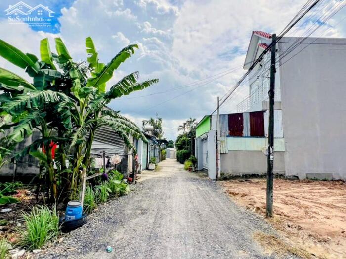 Hình ảnh Đất thổ cư SHR 1/đường số 92, Tân Phú Trung, Củ Chi.Dt 14x25~347m2~2,7ty 2