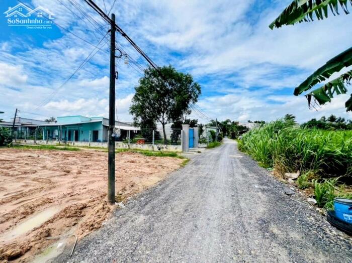 Hình ảnh Đất thổ cư SHR 1/đường số 92, Tân Phú Trung, Củ Chi.Dt 14x25~347m2~2,7ty 1