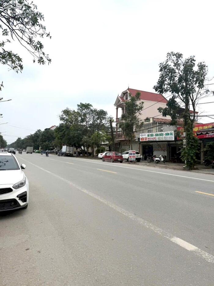 Hình ảnh Bán đất 60m2 mặt đường Trường Chinh, gần Nguyễn Thái Học, TP Vinh 0