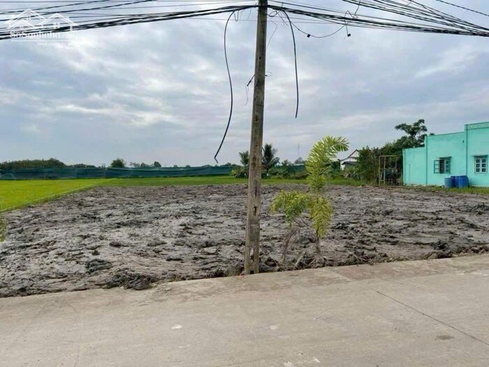 Hình ảnh Đất thổ cư hàng F0 Chủ xả gấp cuối năm 210m2 mt xe hơi xã Tân Lân giá rẻ đầu tư 900tr/nền 2