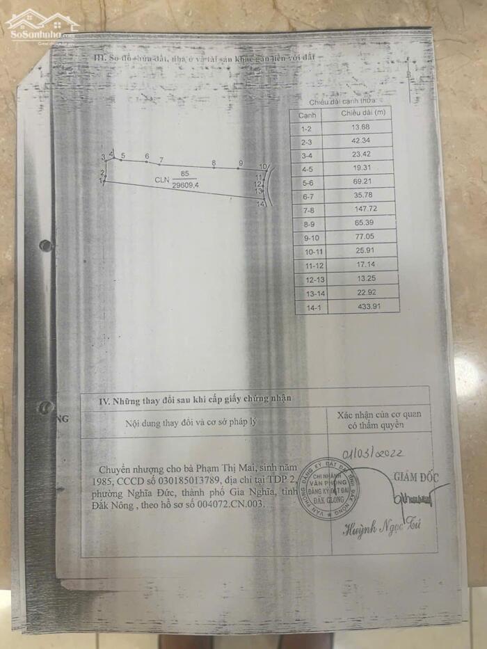 Hình ảnh 3ha giá rẻ nguồn thu mạnh,gần trung tâm,đất bằng,điện nước đầy đủ 2