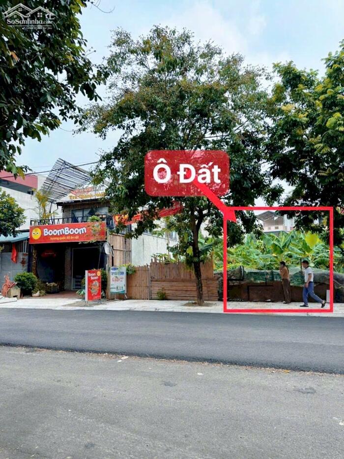 Hình ảnh Bán đất khu TDC sau núi mặt đường Mạc Đĩnh Chi, Hội hợp 1