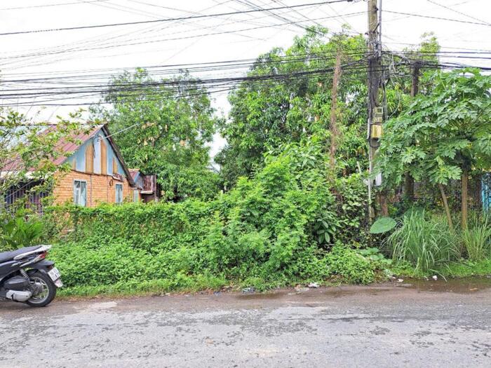 Hình ảnh Cần bán đất MT An Nhơn, P6 gần trường ĐHĐT giá 3,8 tỷ. 1