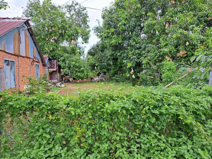 Hình ảnh Cần bán đất MT An Nhơn, P6 gần trường ĐHĐT giá 3,8 tỷ. 0