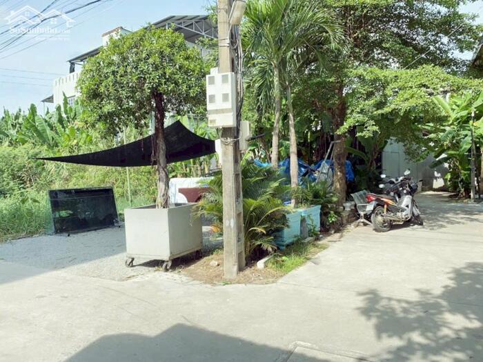 Hình ảnh Bán Đất Mỹ Thượng, Cách MT Nguyễn Đình Tứ 30m – 67m² Nở Hậu – Giá 1,75 Tỷ 2