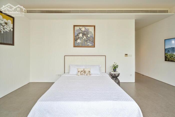 Hình ảnh BDS HVL CHO THUÊ BIỆT THỰ HỒ BƠI RIÊNG COMPOUND THẢO ĐIỀN, QUẬN 2 3