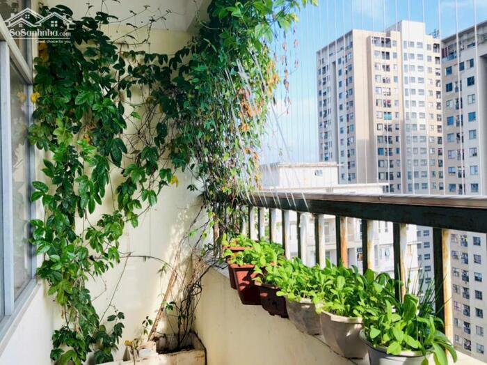 Hình ảnh cho thuê chung cư VOV Mễ Trì, 74m 2 phòng ngủ, đủ đồ 10 triệu 1