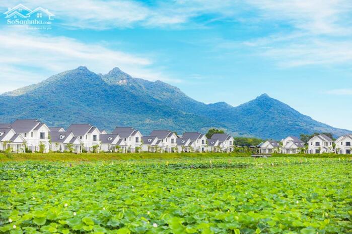 Hình ảnh Lô biệt thự 327m2 giá chỉ hơn 4 tỷ 1