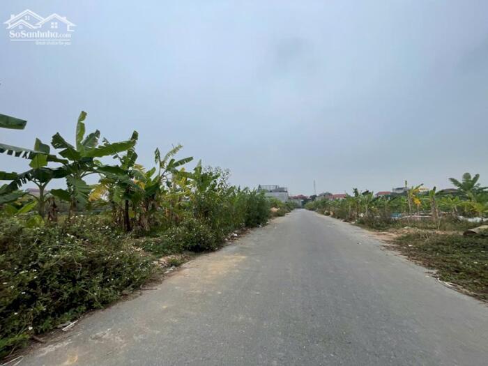 Hình ảnh Bán đất khu dịch vụ Tích Sơn, Vĩnh Yên, Vĩnh Phúc. View vườn hoa cực thoáng 0