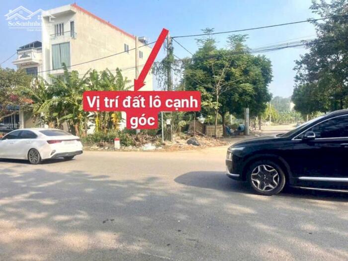 Hình ảnh Bán đất kinh doanh mặt đường TL302 Làng Mạ, Tam Quan, Tam Đảo, Vĩnh Phúc 2