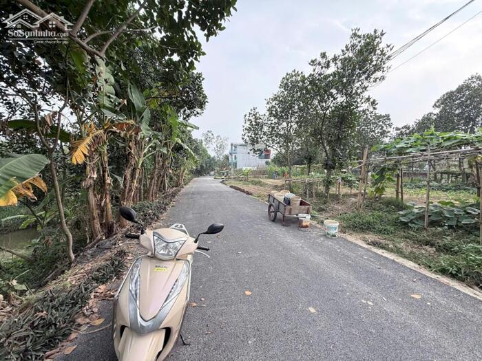 Hình ảnh Bán đất Đạo tú, Tam dương, Vĩnh phúc. 2 lô liền nhau sử dụng 426m2 4