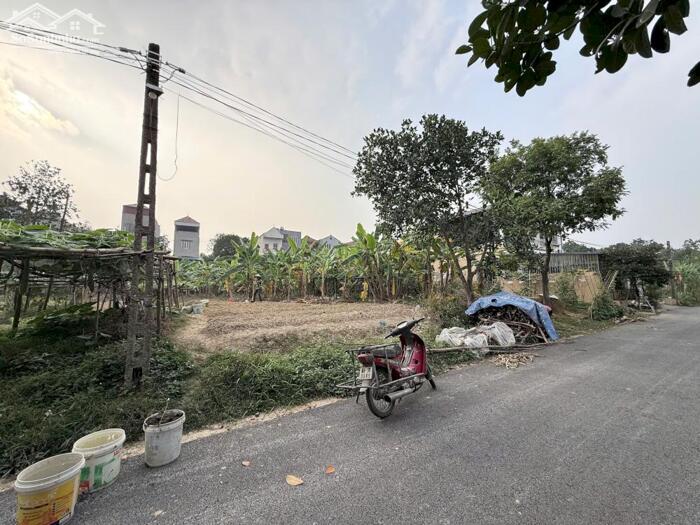 Hình ảnh Bán đất Đạo tú, Tam dương, Vĩnh phúc. 2 lô liền nhau sử dụng 426m2 3