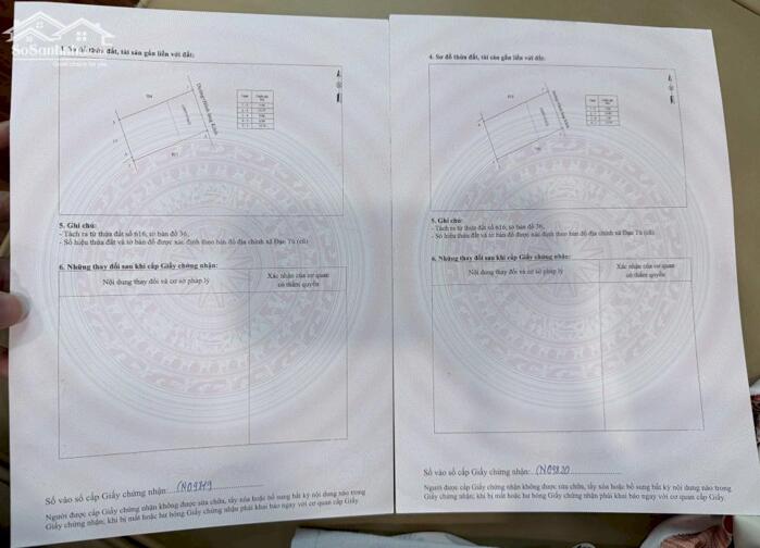 Hình ảnh Bán đất Đạo tú, Tam dương, Vĩnh phúc. 2 lô liền nhau sử dụng 426m2 1