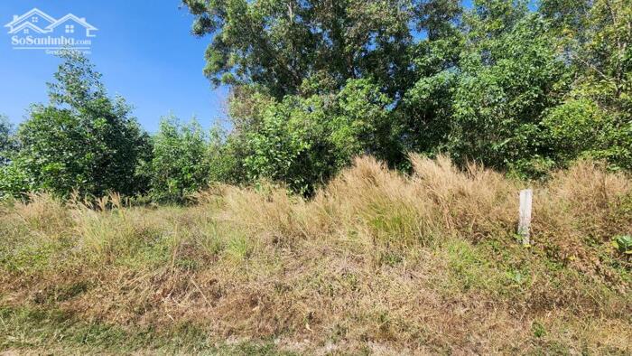 Hình ảnh bán gấp 12x96 có sẵn 60m2 thổ cư hẻm xe hơi Đinh Công Tráng, Tân Tiến, LaGI. Giá 1 tỷ 1