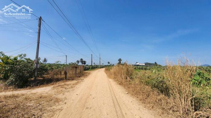 Hình ảnh bán gấp 1116m2 đất phủ hồng hẻm xe hơi đinh công tráng, tân tiến, lagi. giá rẻ 800 triệu 3