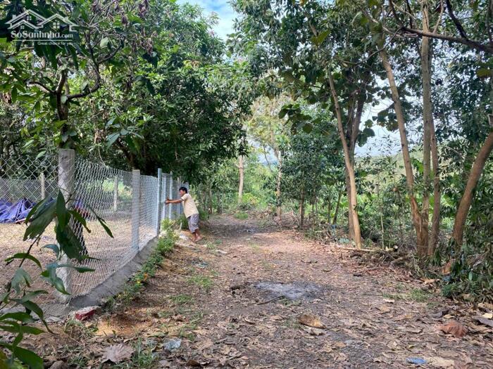 Hình ảnh ĐẤT NỀN ĐỊNH QUÁN 2000 M2 SỔ HỒNG RIỀNG GIÁ 590 TRIỆU 3