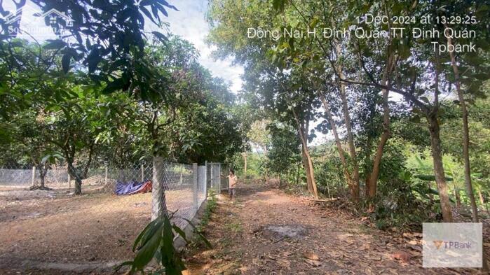 Hình ảnh ĐẤT NỀN ĐỊNH QUÁN 2000 M2 SỔ HỒNG RIỀNG GIÁ 590 TRIỆU 0