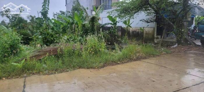 Hình ảnh Bán đất KQH Thạch Căn – Phú Dương | Đường ô tô 12m | Giá 9,5 triệu/m² – TL 2