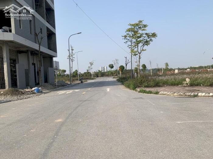 Hình ảnh Bán lô góc đấu giá Cự Khối 122,3m gần hồ điều hòa 30ha Cự Khối, vị trí kinh doanh tiềm năng tương lai 0