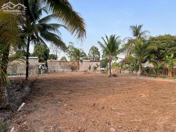 Hình ảnh CHO THUÊ 3.000M² ĐẤT MT Đ. VÕ VĂN KIỆT – P. BÌNH THỦY, TP. CẦN THƠ | GIÁ 35 TRIỆU 0