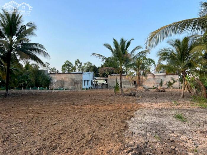 Hình ảnh CHO THUÊ 3.000M² ĐẤT MT Đ. VÕ VĂN KIỆT – P. BÌNH THỦY, TP. CẦN THƠ | GIÁ 35 TRIỆU 4