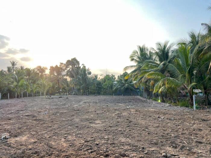 Hình ảnh CHO THUÊ 3.000M² ĐẤT MT Đ. VÕ VĂN KIỆT – P. BÌNH THỦY, TP. CẦN THƠ | GIÁ 35 TRIỆU 3