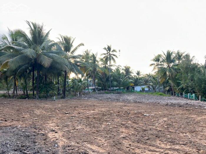 Hình ảnh CHO THUÊ 3.000M² ĐẤT MT Đ. VÕ VĂN KIỆT – P. BÌNH THỦY, TP. CẦN THƠ | GIÁ 35 TRIỆU 2