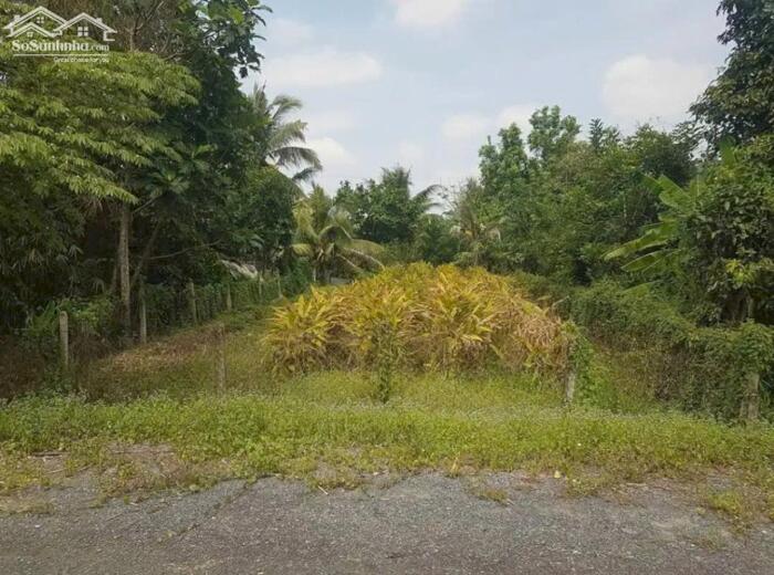 Hình ảnh Bán nền đường nhựa 12m đất chiều ngang 10m giá 1,6 tỷ 2