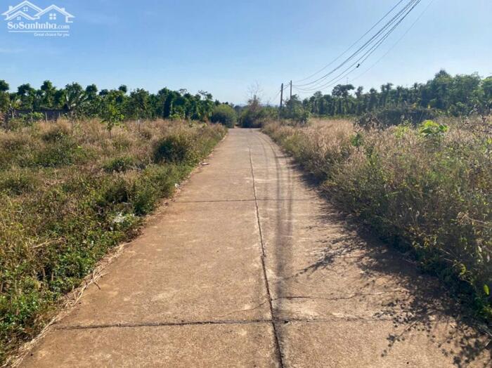 Hình ảnh Bán đất hẻm cấp 1 Phan Huy Chú giá đầu tư, full thổ cư 1