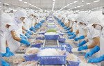 bán nhà máy chế biến thuỷ hải sản tại bạc liêu, đang hoạt động và xuất khẩu hàng đi nhiều nước