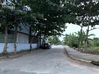 ảnh 2