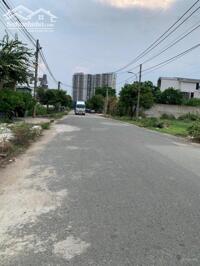 ảnh 5