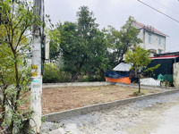 ảnh 3