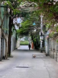 ảnh 2