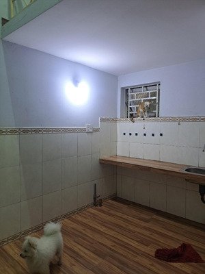 cho thuê nhà trọ 278/17 lê hồng phong, phú hòa, thủ dầu một, 2 triệu, 20m2, giá ưu đãi đẹp