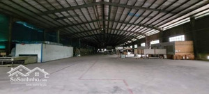 cho thuê nhà xưởng kcn long mỹ 8000m2
