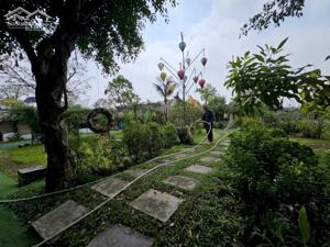 Cho thuê nhà vườn ở Phú Viên 2000m2 làm café, yoga sinh thái, nhà hàng