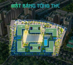 cho thuê shophouse khối đế 6 toà ct5 - ct6 - ct7 - ct8 - ct9 - ct10