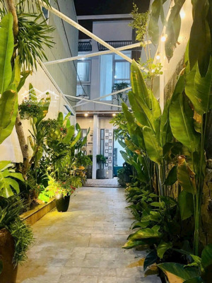 homestay villa hàng hiếm ! giá khá rẻ ! gần chợ cồn, dòng tiền 45 tr/th: 157m2 14mx10m 3 căn 2 tầng
