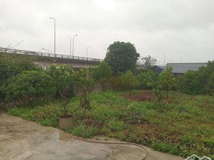 cho thuê mặt bằng, có sẵn nhà cấp 4