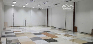 cho thuê kho vip 220m2 có pccc tại đường lữ gia, p. 15, quận 11 - 33 triệu/tháng