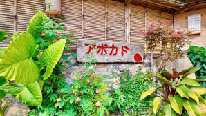 sang nhượng homestay abokado thị trấn nông trường, mộc châu