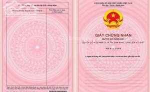 Nhà 3Tầng Đường Lý Thái Tông,Đông Nam-Ngay Đoạn Đầu Kinh Doanh Gần Biển-giá 8,7Tỷ
