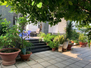 chủ kẹt tiền bán nhanh biệt thự vườn hoà long! 0373105303
