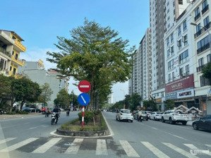 cho thuê nr 350m2 tại lạc long quân, kinh bắc, bắc ninh, 100 triệu